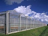 Створення тепличного господарства у місті Кривому Розі